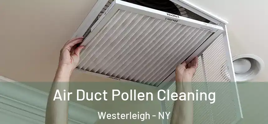 Air Duct Pollen Cleaning Westerleigh - NY