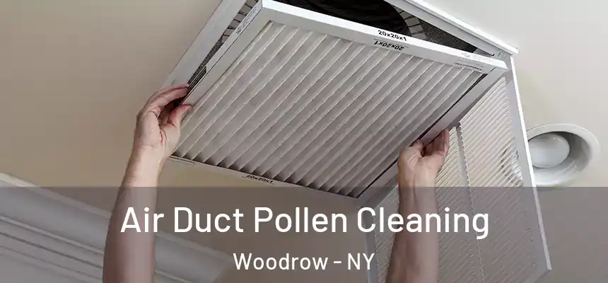 Air Duct Pollen Cleaning Woodrow - NY