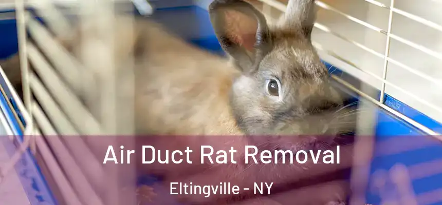 Air Duct Rat Removal Eltingville - NY