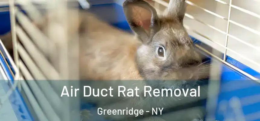 Air Duct Rat Removal Greenridge - NY