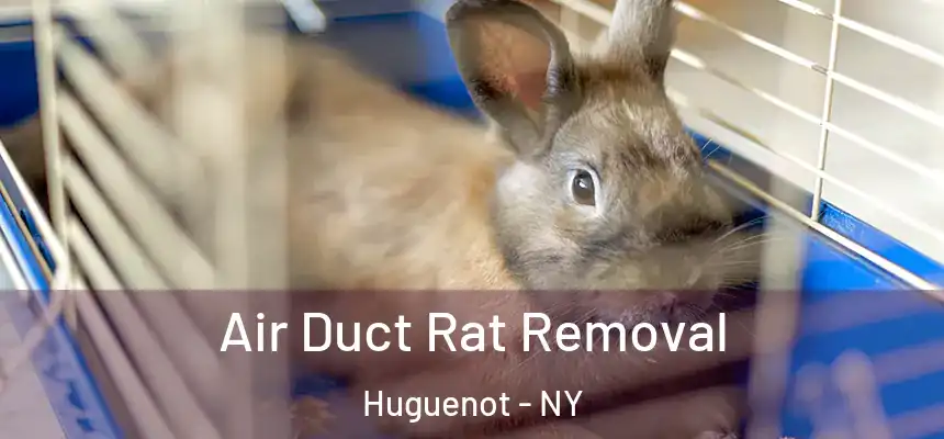 Air Duct Rat Removal Huguenot - NY
