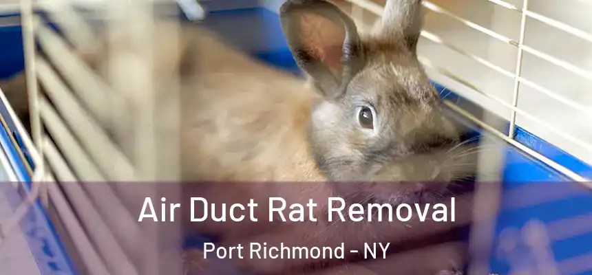 Air Duct Rat Removal Port Richmond - NY