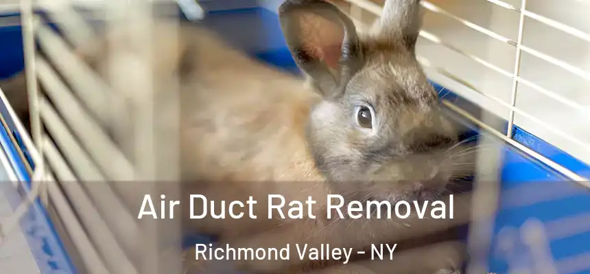 Air Duct Rat Removal Richmond Valley - NY