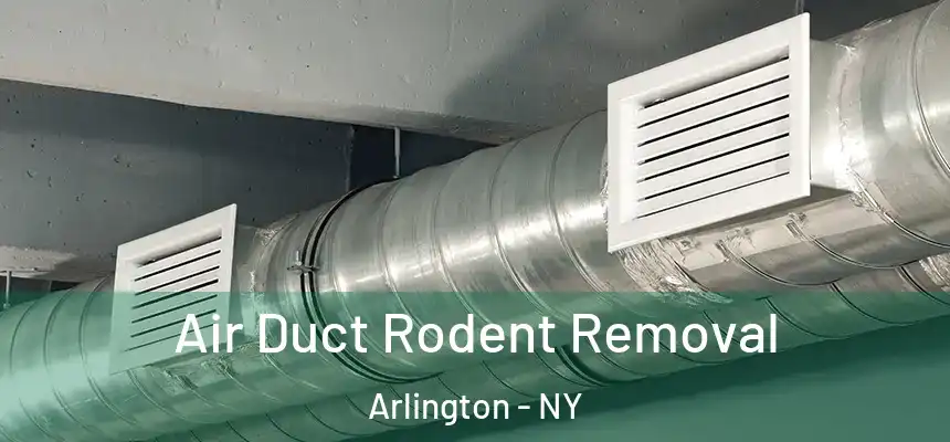  Air Duct Rodent Removal Arlington - NY
