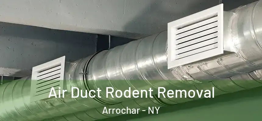  Air Duct Rodent Removal Arrochar - NY