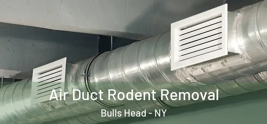 Air Duct Rodent Removal Bulls Head - NY