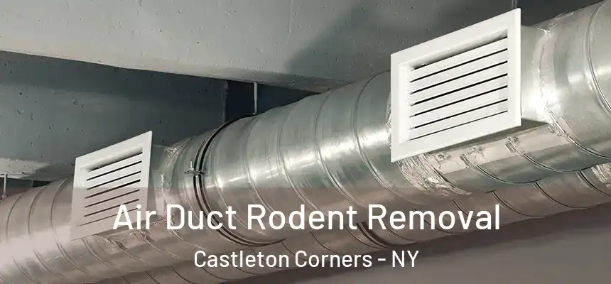 Air Duct Rodent Removal Castleton Corners - NY