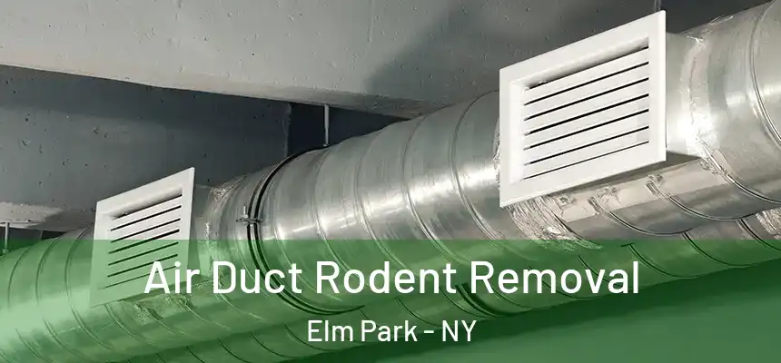 Air Duct Rodent Removal Elm Park - NY