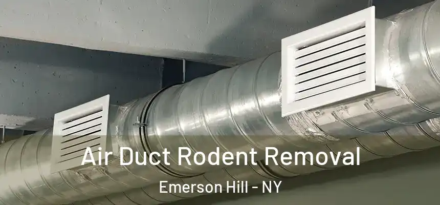  Air Duct Rodent Removal Emerson Hill - NY