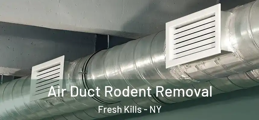 Air Duct Rodent Removal Fresh Kills - NY