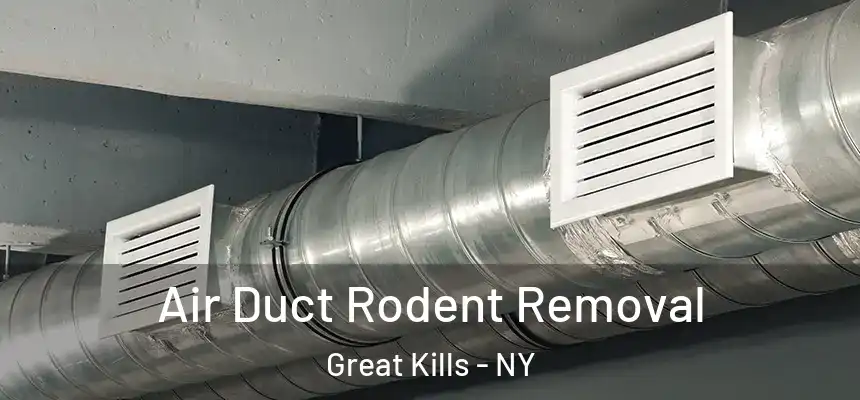 Air Duct Rodent Removal Great Kills - NY