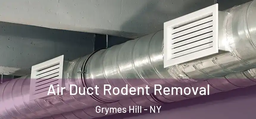 Air Duct Rodent Removal Grymes Hill - NY