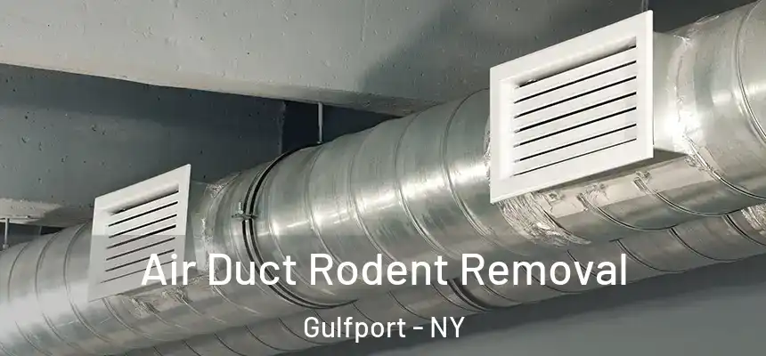 Air Duct Rodent Removal Gulfport - NY
