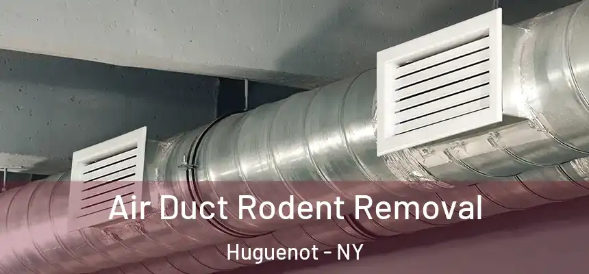  Air Duct Rodent Removal Huguenot - NY
