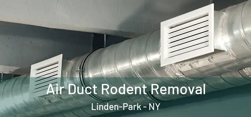 Air Duct Rodent Removal Linden-Park - NY