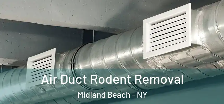 Air Duct Rodent Removal Midland Beach - NY