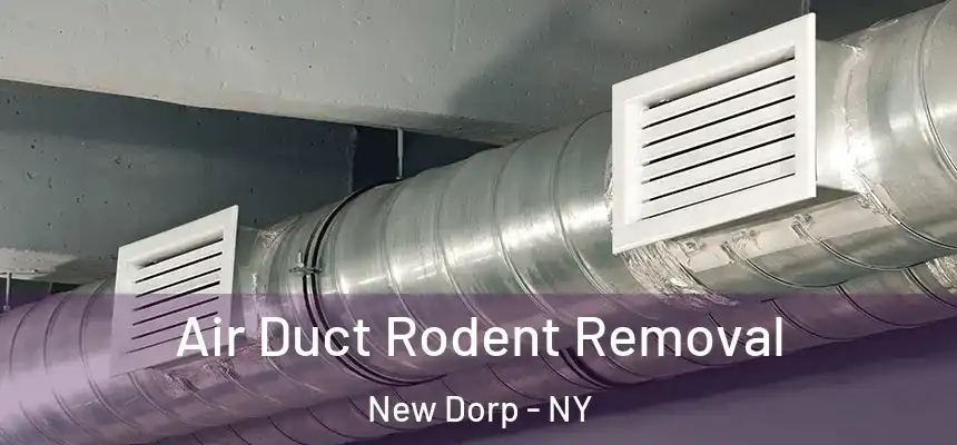 Air Duct Rodent Removal New Dorp - NY