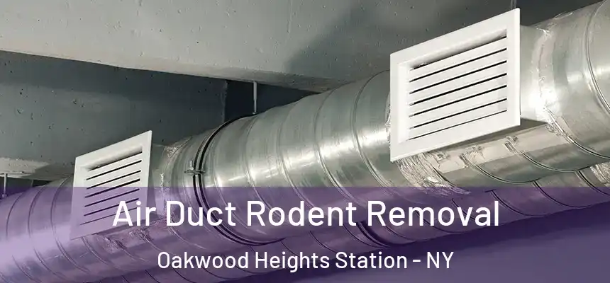  Air Duct Rodent Removal Oakwood Heights Station - NY