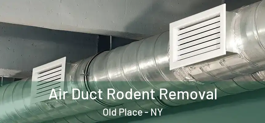  Air Duct Rodent Removal Old Place - NY