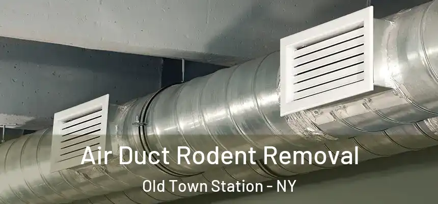  Air Duct Rodent Removal Old Town Station - NY