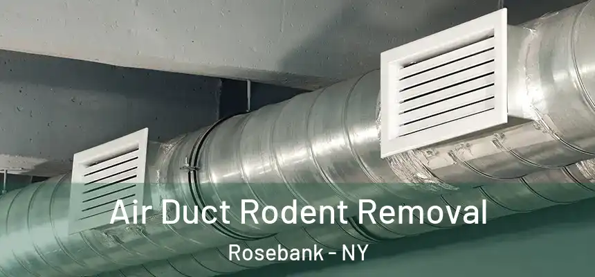  Air Duct Rodent Removal Rosebank - NY