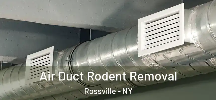  Air Duct Rodent Removal Rossville - NY