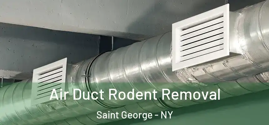  Air Duct Rodent Removal Saint George - NY
