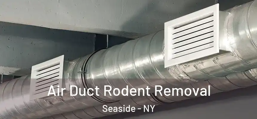Air Duct Rodent Removal Seaside - NY