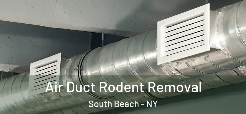 Air Duct Rodent Removal South Beach - NY