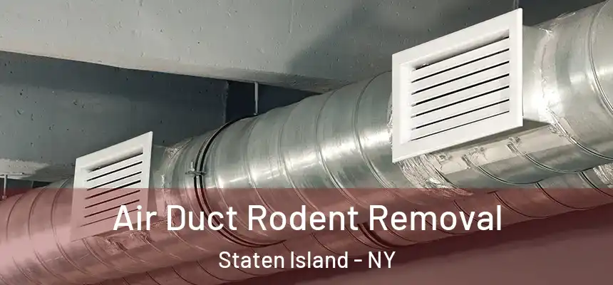 Air Duct Rodent Removal Staten Island - NY