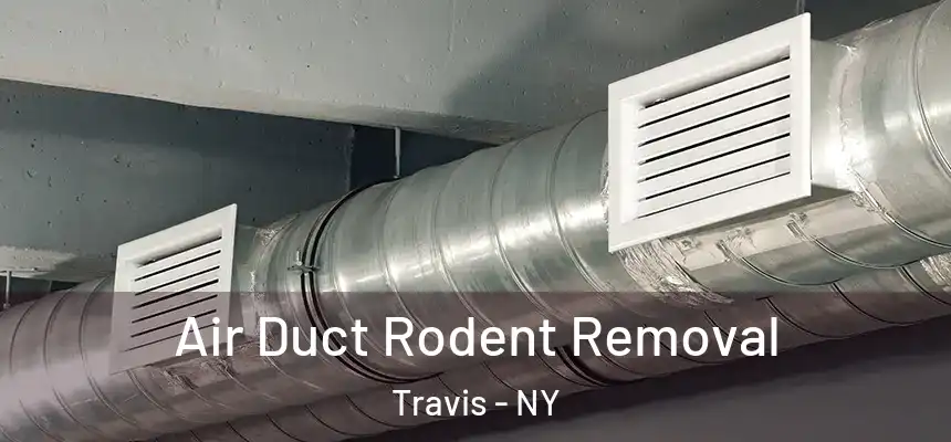 Air Duct Rodent Removal Travis - NY