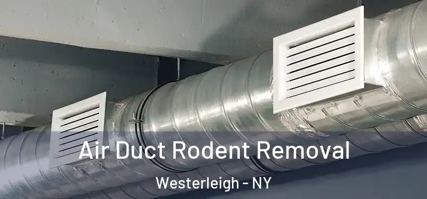 Air Duct Rodent Removal Westerleigh - NY