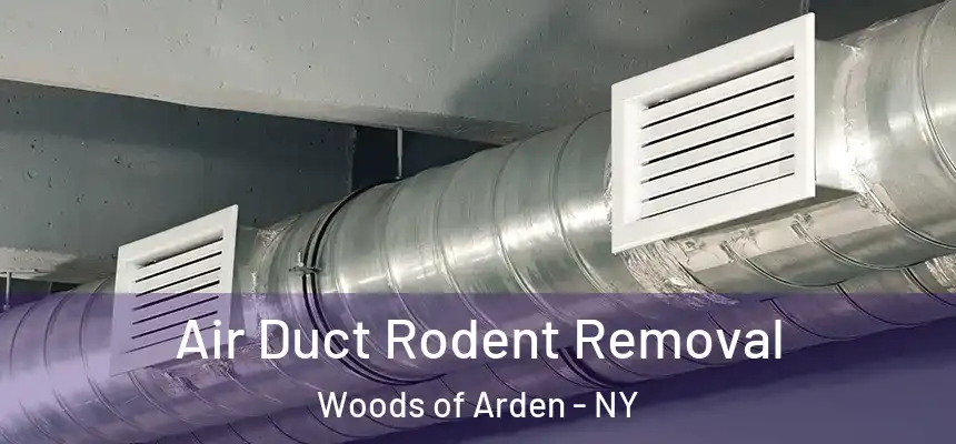 Air Duct Rodent Removal Woods of Arden - NY