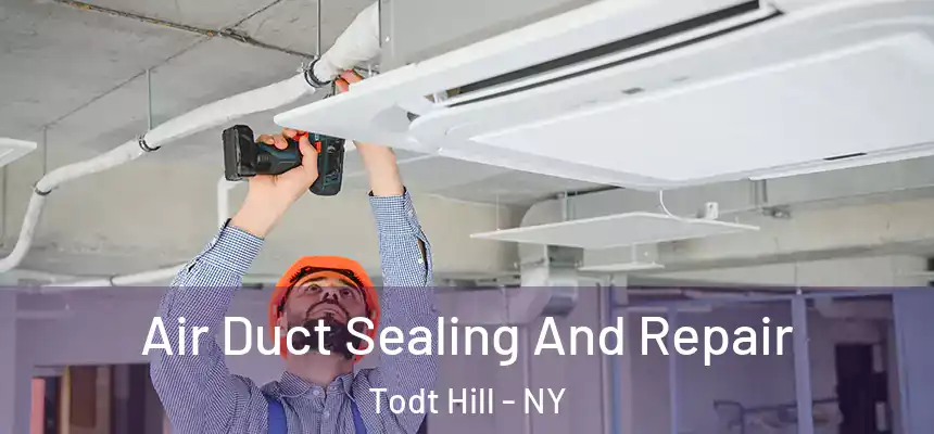 Air Duct Sealing And Repair Todt Hill - NY