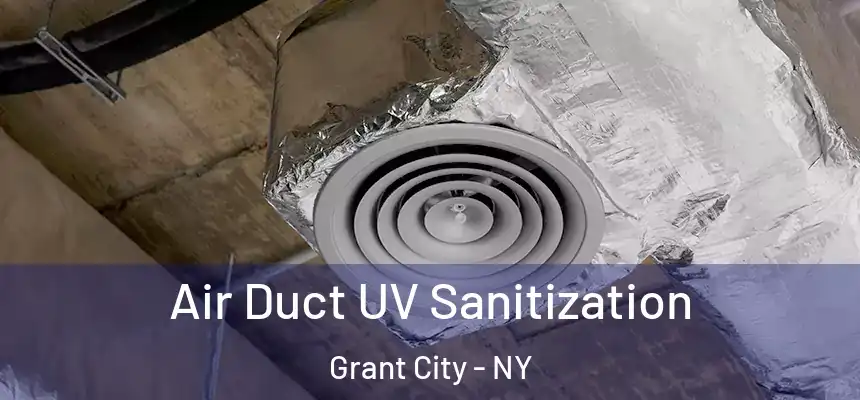 Air Duct UV Sanitization Grant City - NY