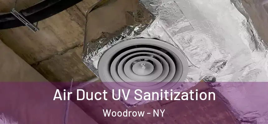 Air Duct UV Sanitization Woodrow - NY