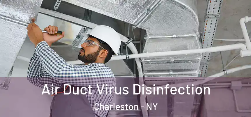 Air Duct Virus Disinfection Charleston - NY