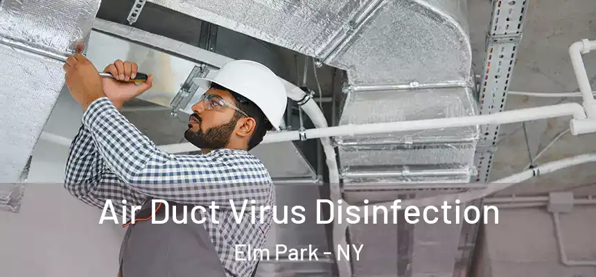 Air Duct Virus Disinfection Elm Park - NY