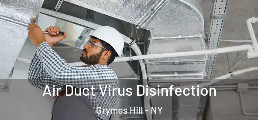 Air Duct Virus Disinfection Grymes Hill - NY