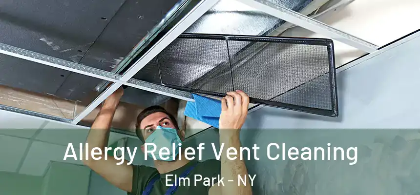 Allergy Relief Vent Cleaning Elm Park - NY