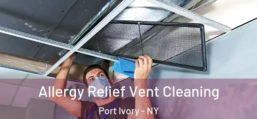  Allergy Relief Vent Cleaning Port Ivory - NY