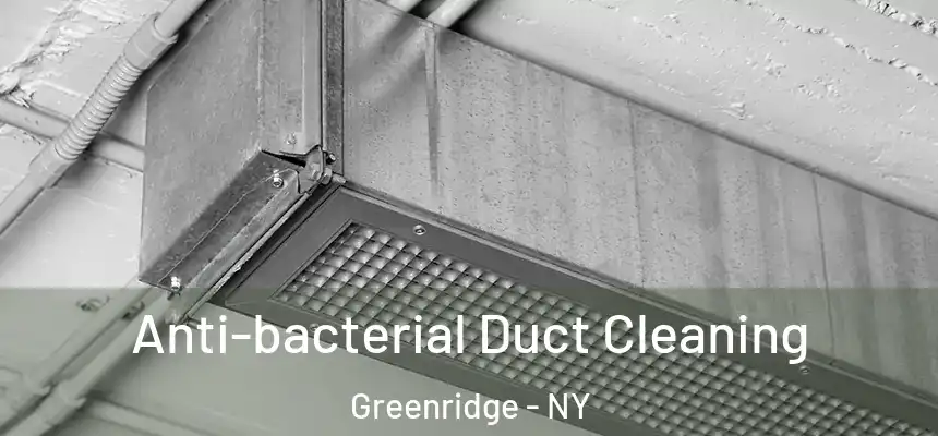Anti-bacterial Duct Cleaning Greenridge - NY