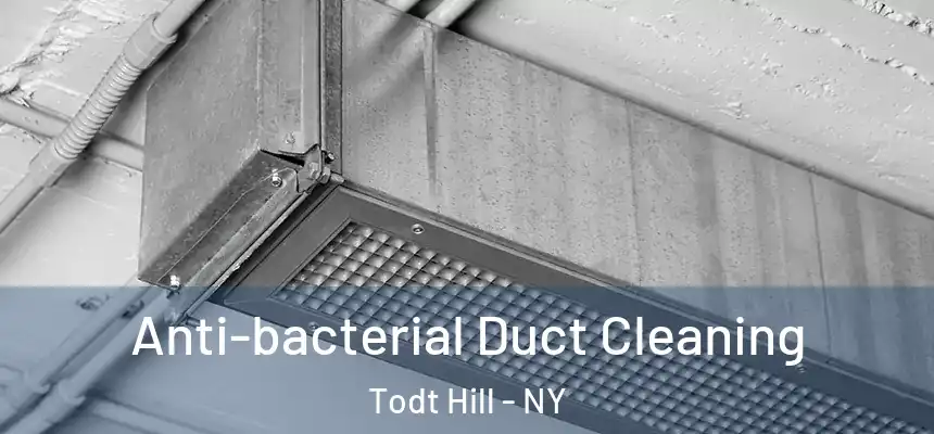 Anti-bacterial Duct Cleaning Todt Hill - NY