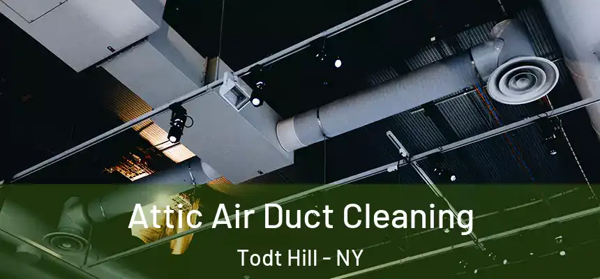 Attic Air Duct Cleaning Todt Hill - NY