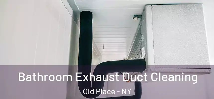 Bathroom Exhaust Duct Cleaning Old Place - NY