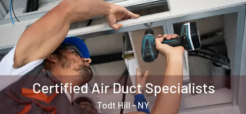 Certified Air Duct Specialists Todt Hill - NY