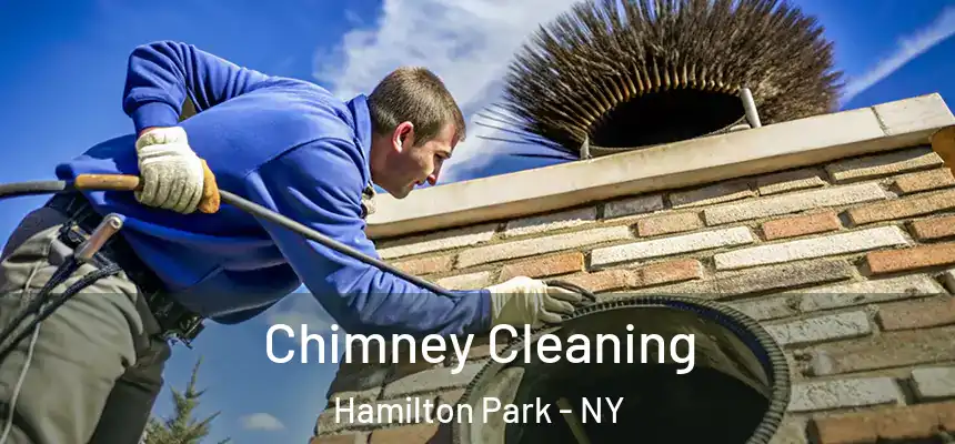 Chimney Cleaning Hamilton Park - NY