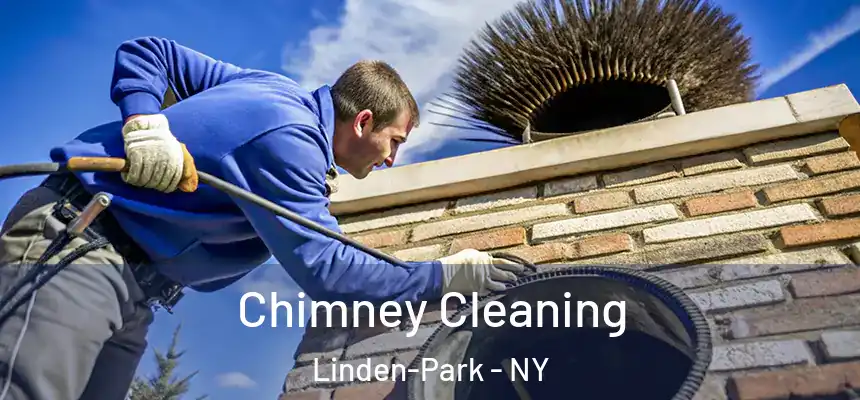 Chimney Cleaning Linden-Park - NY