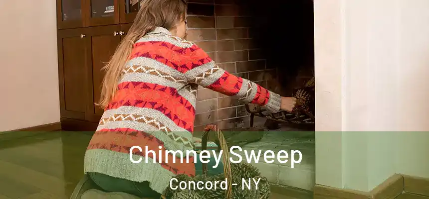 Chimney Sweep Concord - NY