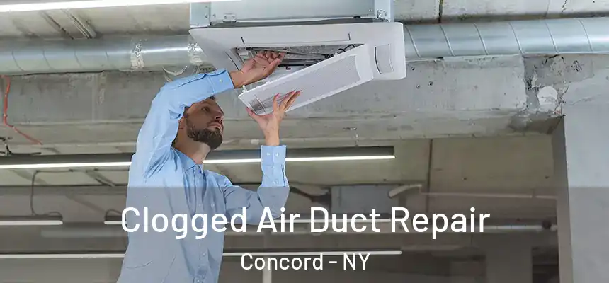  Clogged Air Duct Repair Concord - NY